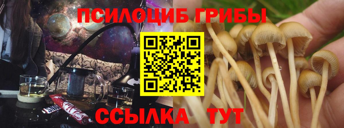 Галлюциногенные грибы MAGIC MUSHROOMS  Вход с VPN  Псилоцибиновые грибы GOLDEN TEACHER  Дзержинский 